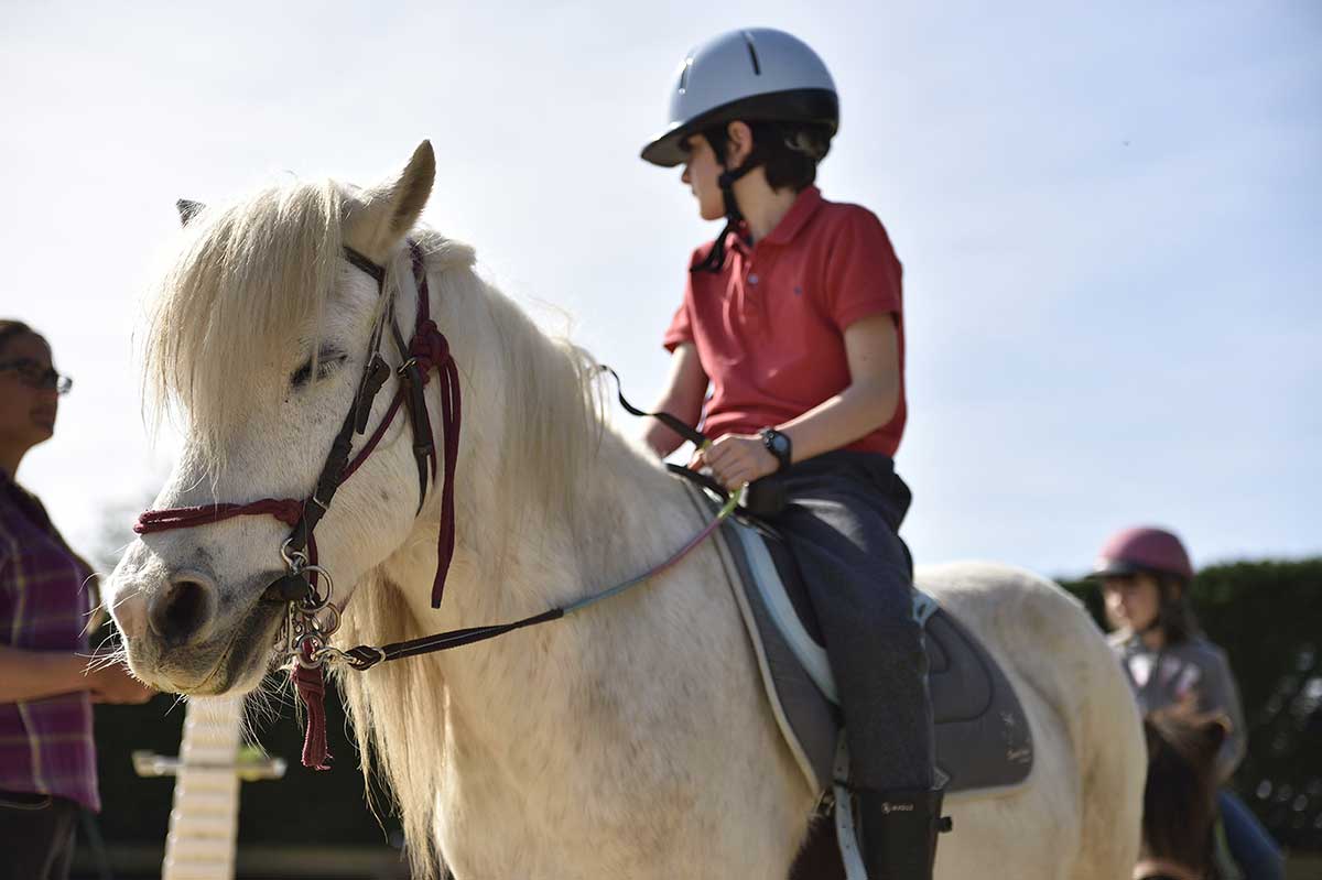 Cours d'équitation en Camargue